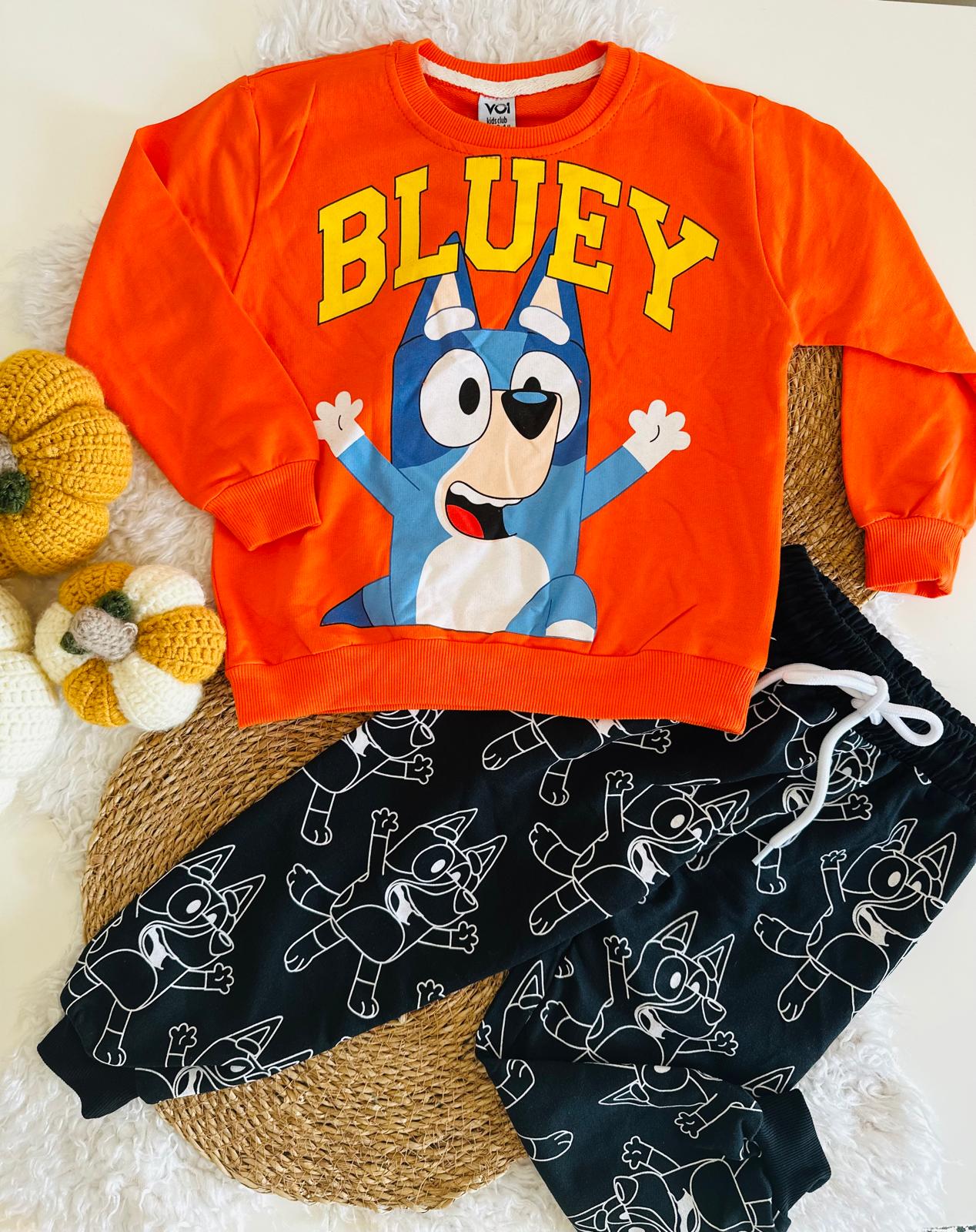 ERKEK ÇOCUK BLUEY BASKILI  2Lİ TAKIM 