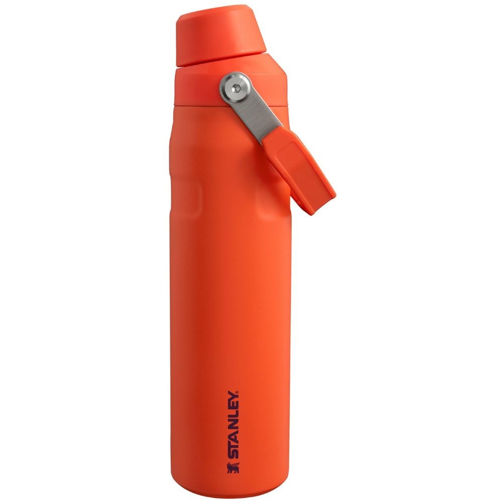 THE ICEFLOW FAST FLOW BOTTLE TIGERLILY PLUM 0.6L