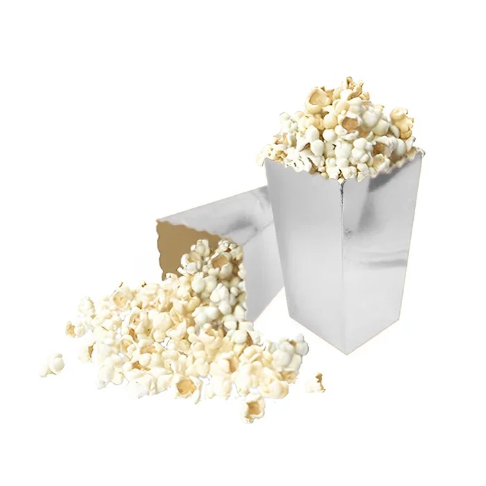 Mısır Kutusu Gümüş