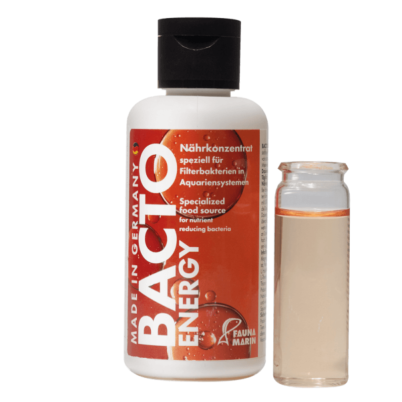 Bacto Energy 100Ml