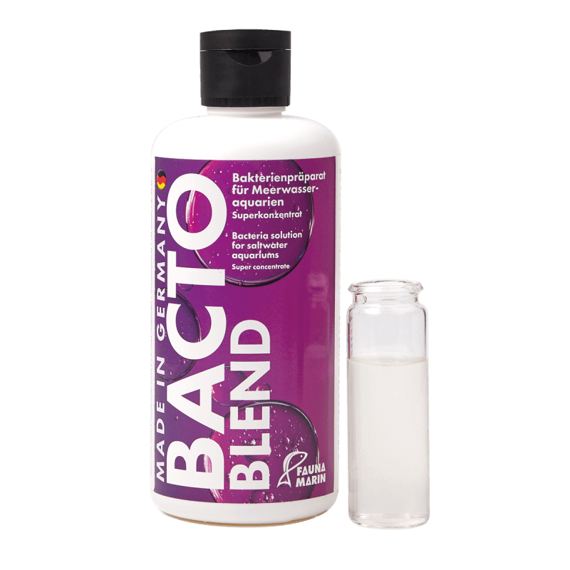 Bacto Blend 250Ml