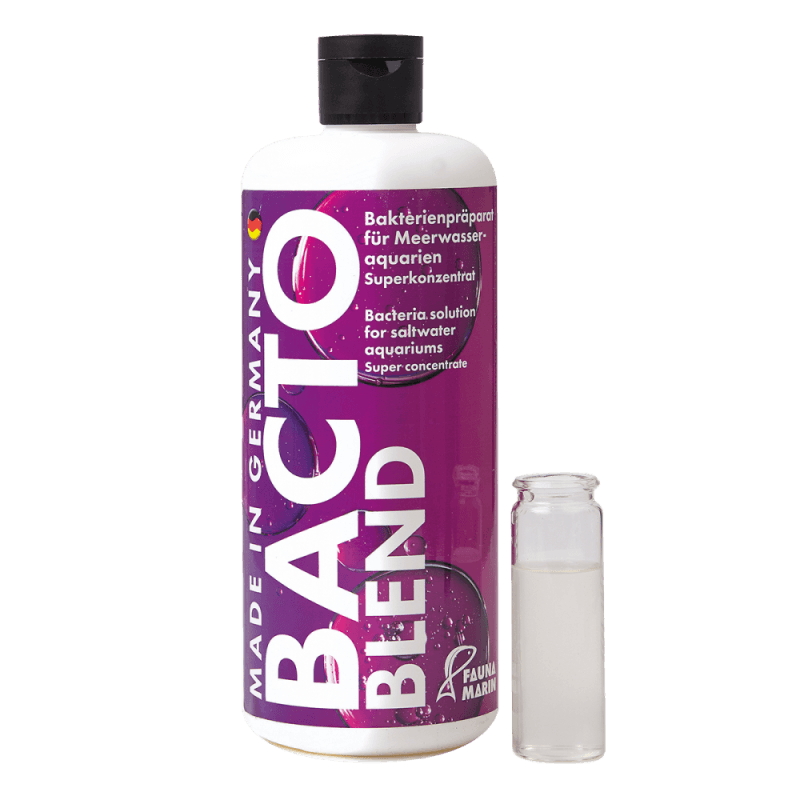 Bacto Blend 500Ml