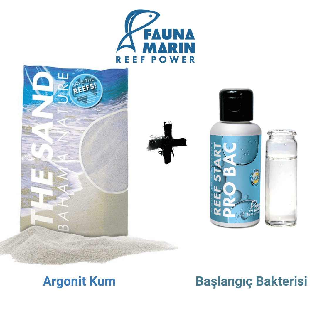 Aragonit Kum & Başlangıç Bakterisi
