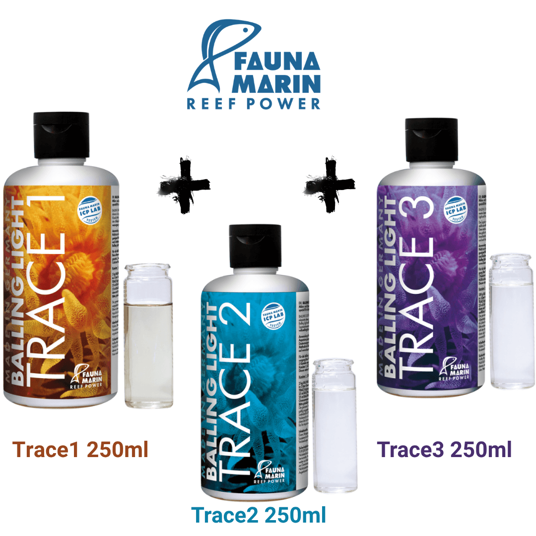Trace1 & Trace2 & Trace3