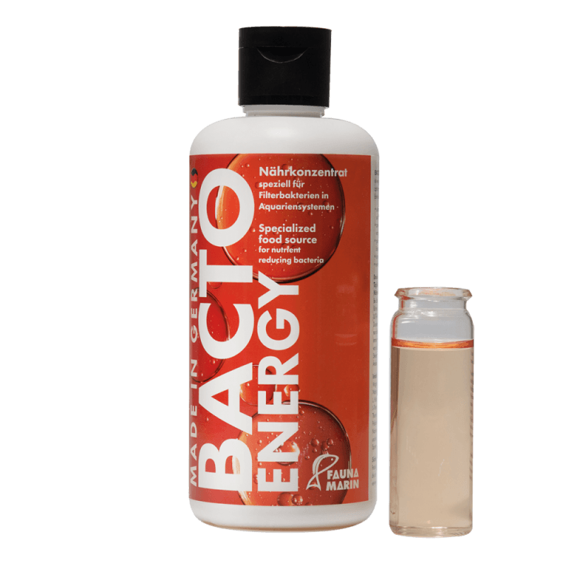 Bacto Energy 250Ml