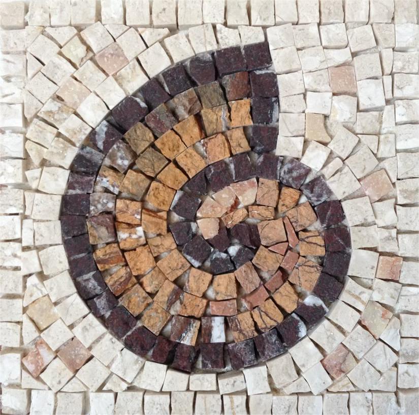 Deniz Kabuğu Mozaik Yapım Kiti