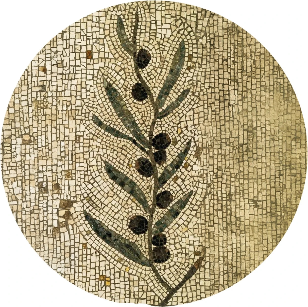 Zeytin Dalı No:1 Mozaik Yapım Kiti