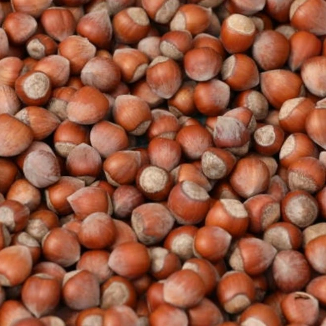 500 Gr. Bitlis/Hizan Fındığı