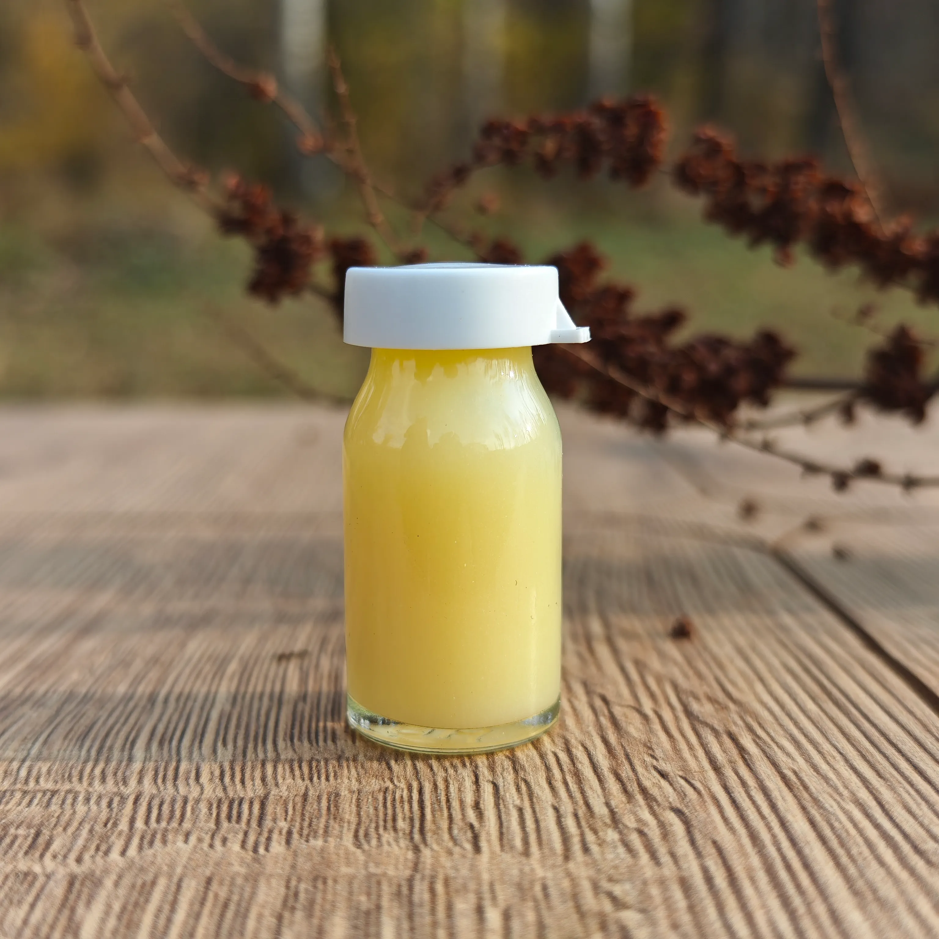 Arı Sütü (10 Gr.)