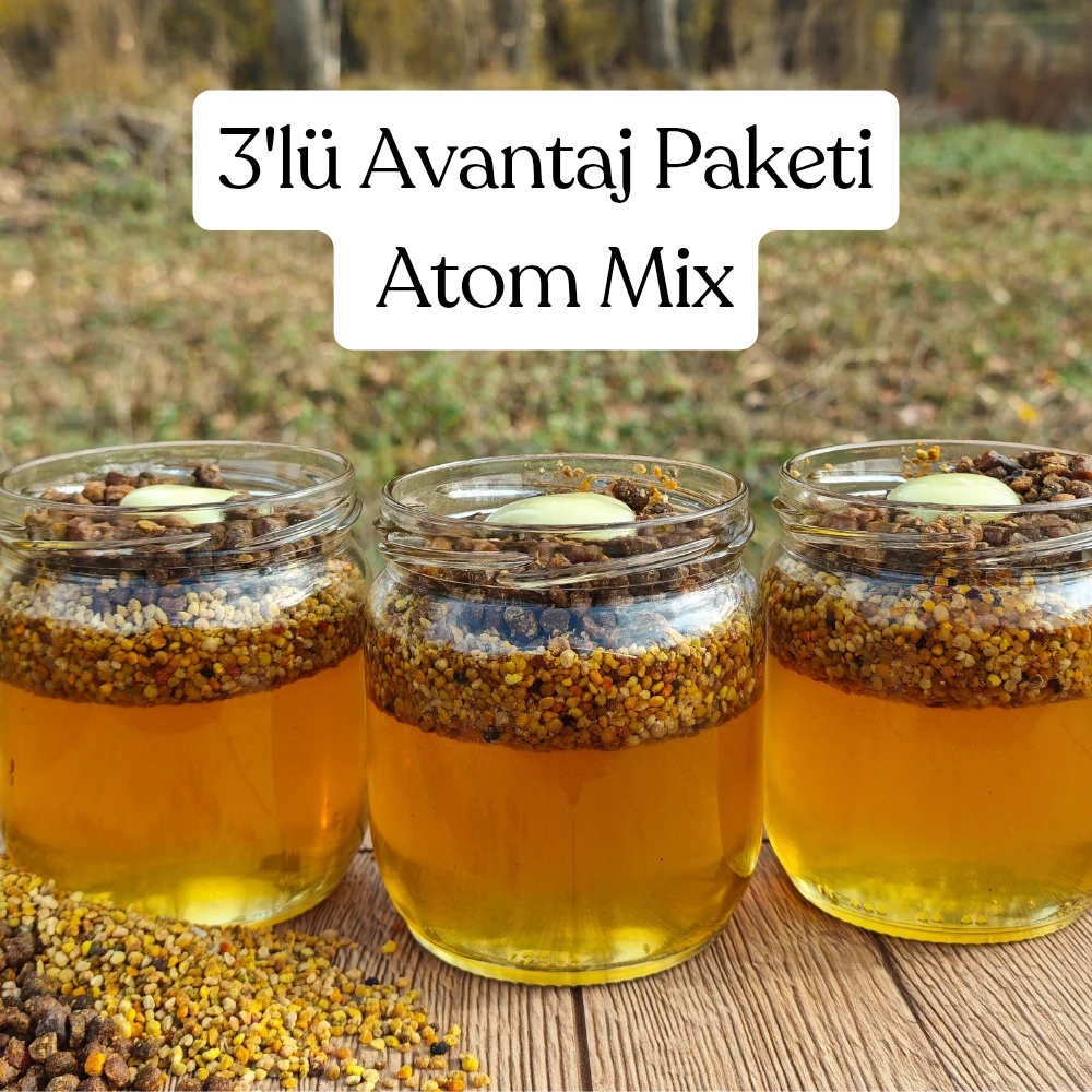3 Adet Atom Mix 