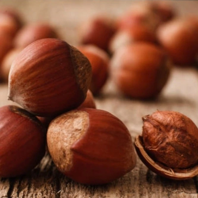 500 Gr. Bitlis/Hizan Fındığı