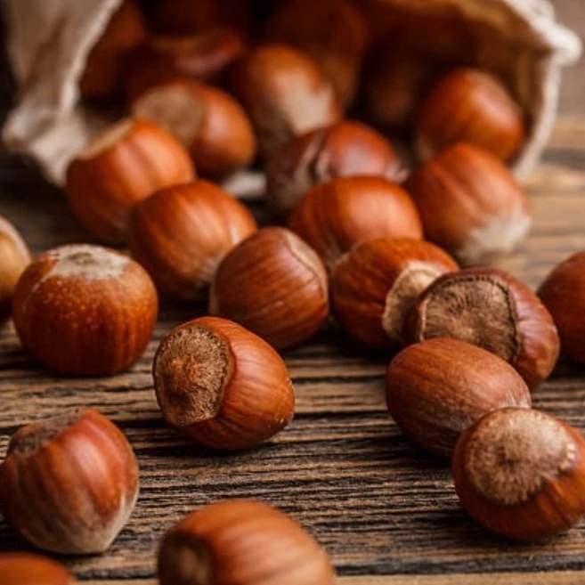 500 Gr. Bitlis/Hizan Fındığı