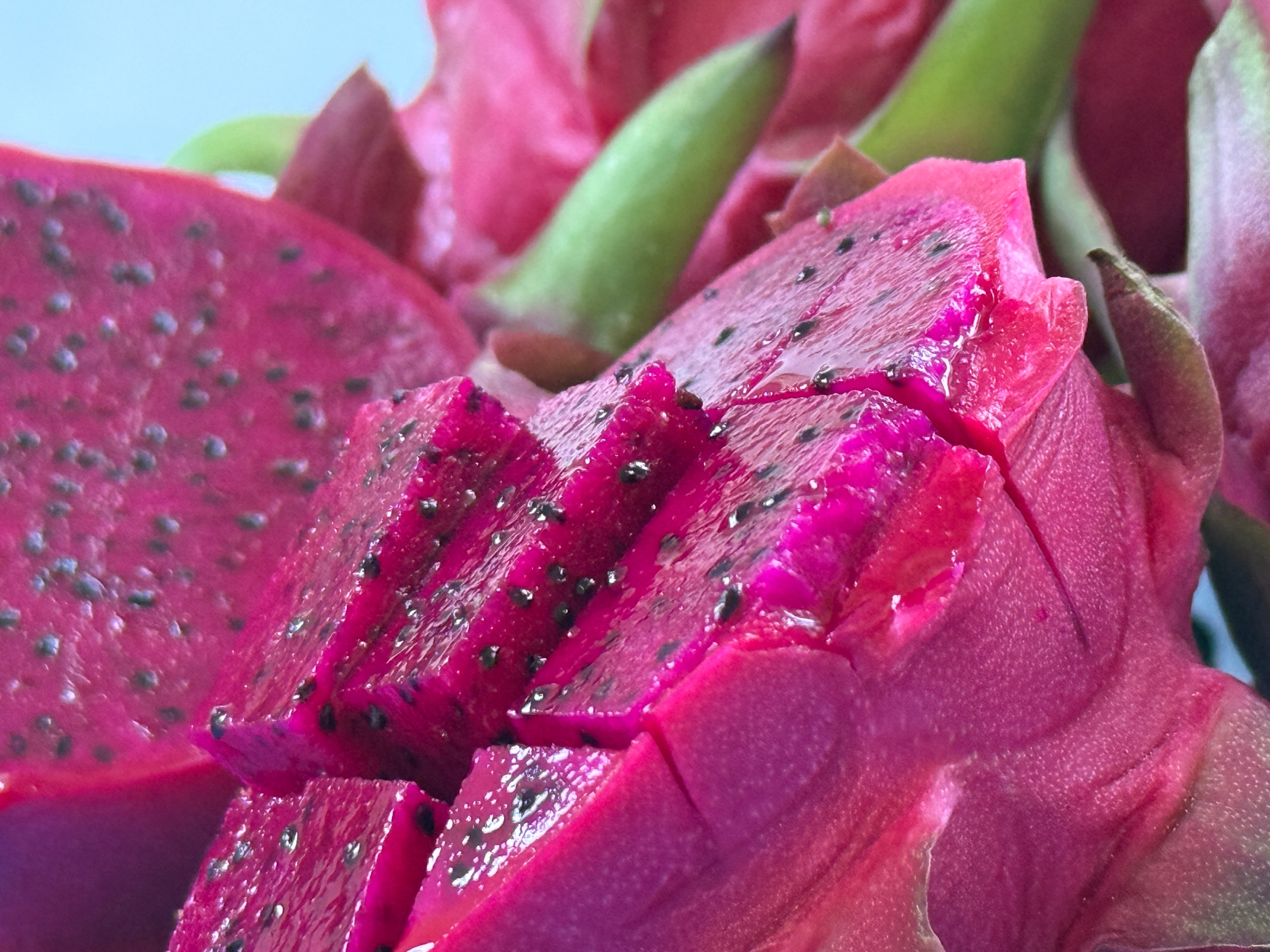 Kırmızı Ejder Meyvesi (Pitaya)