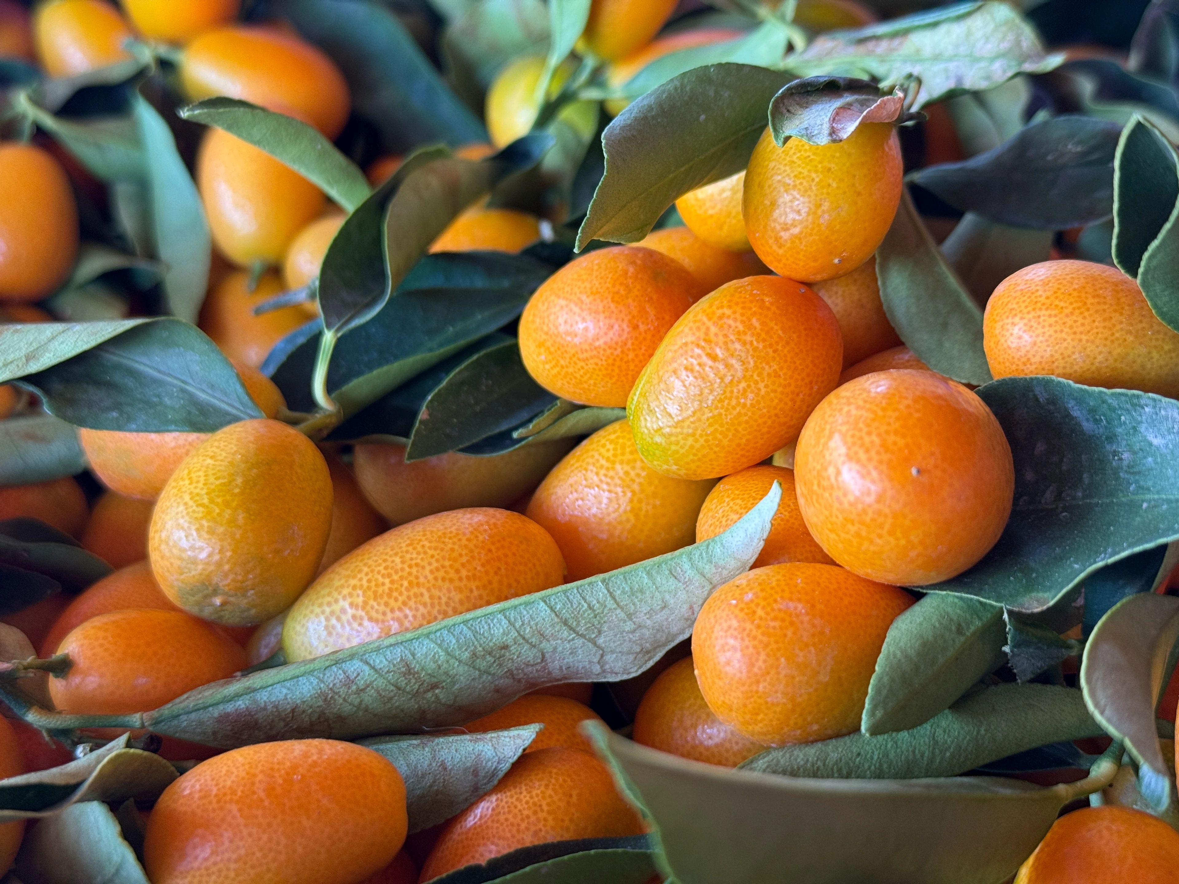 Kamkat (Kumkuat) 500gr