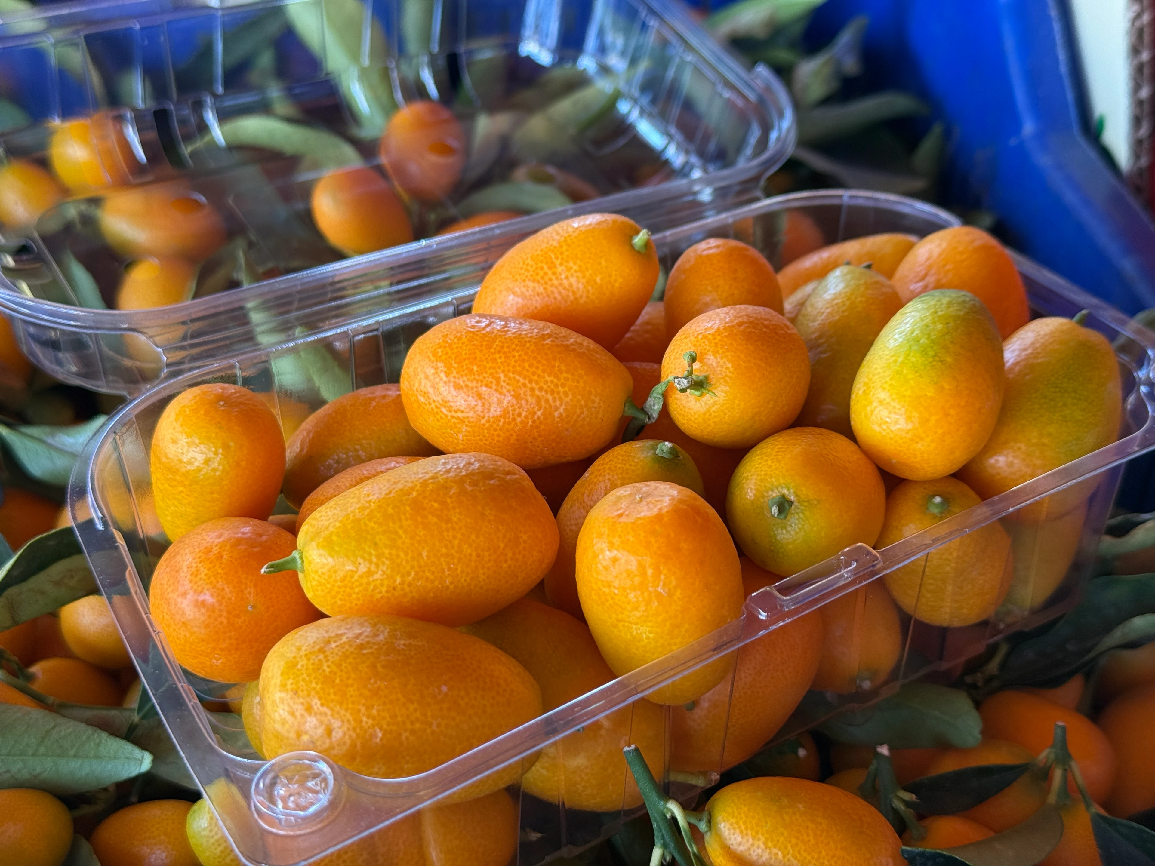 Kamkat (Kumkuat) 500gr