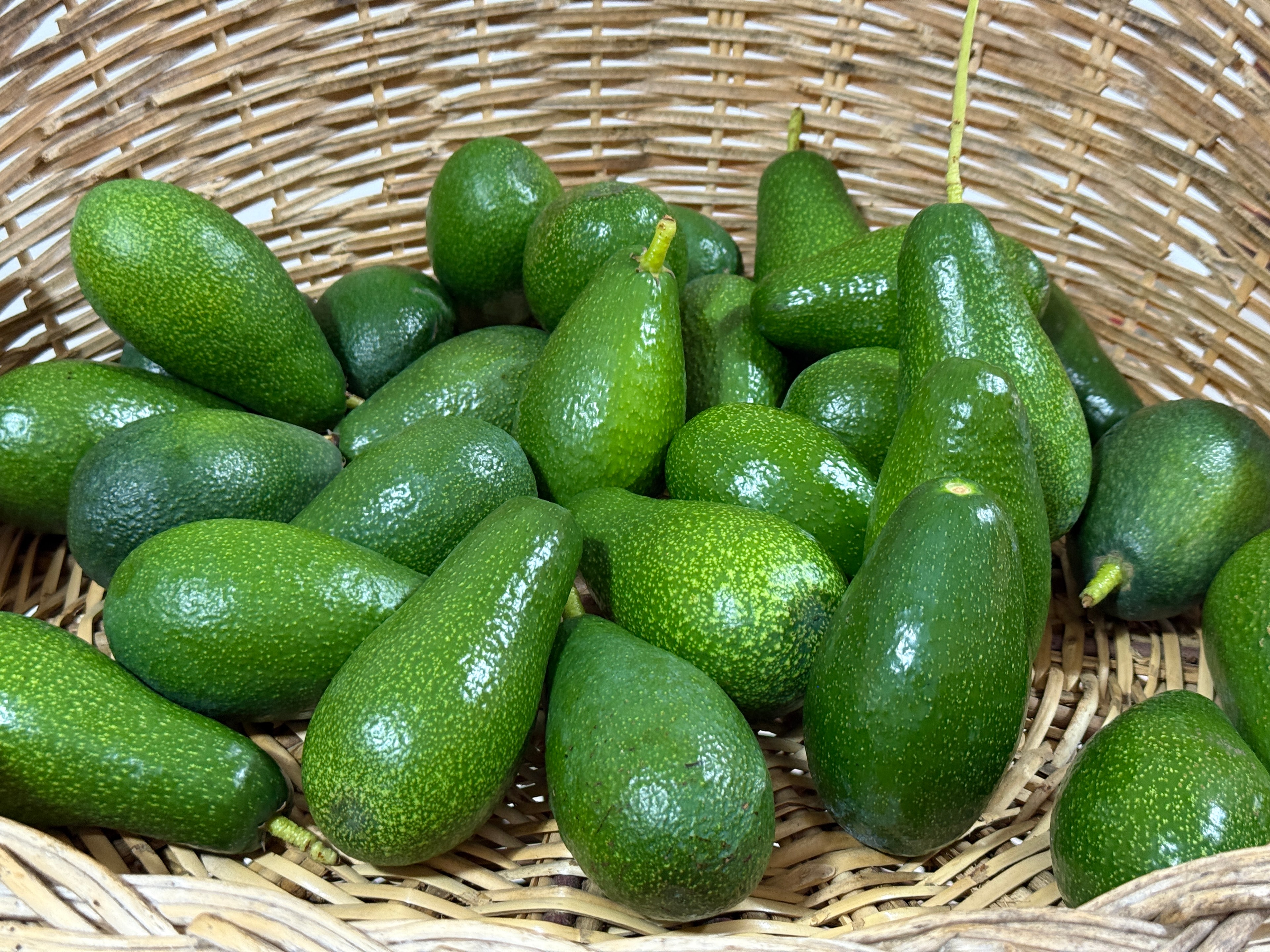 Avokado Kg (Yerli)