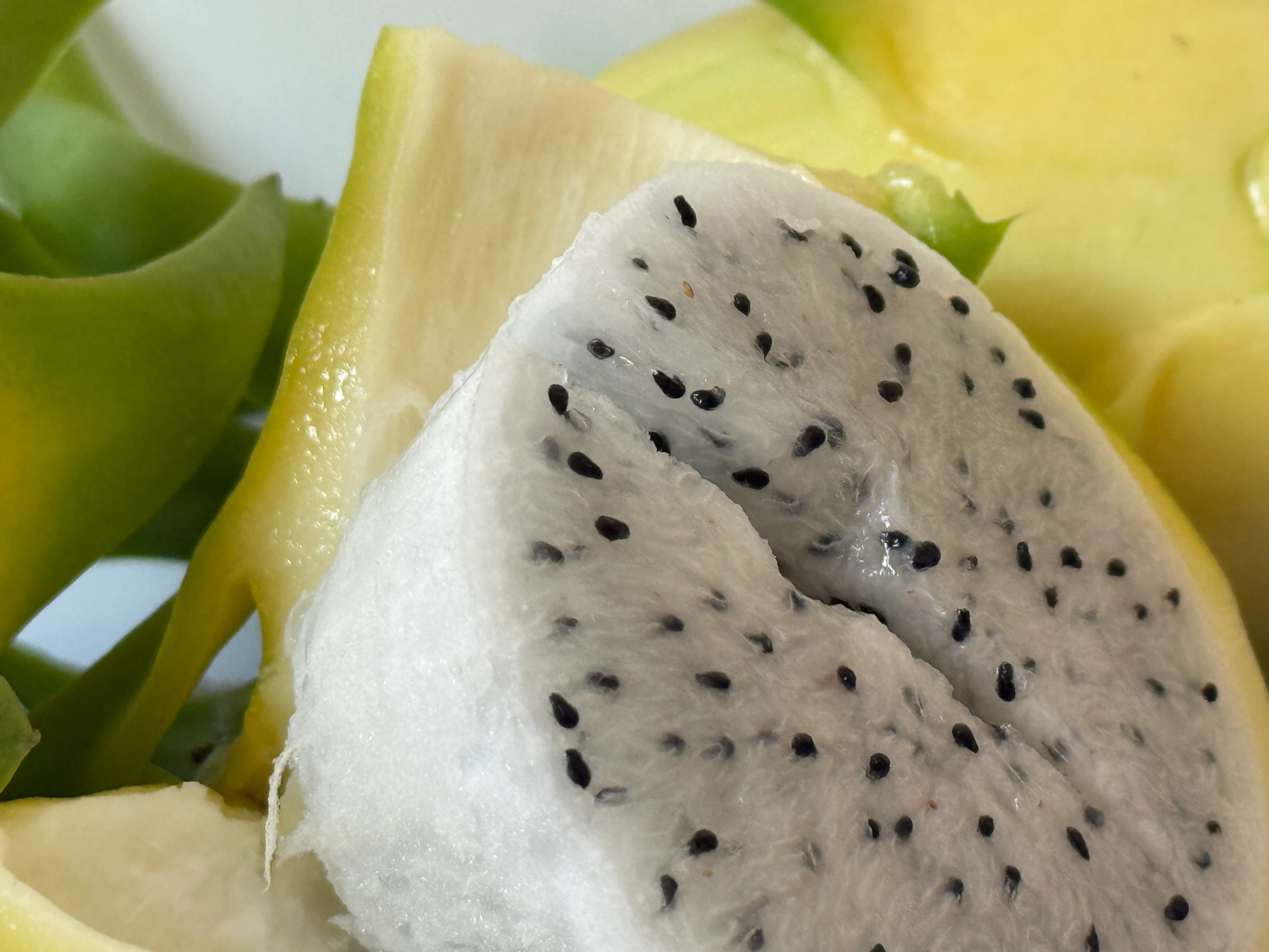 Sarı Ejder Meyvesi (Pitaya) Kg