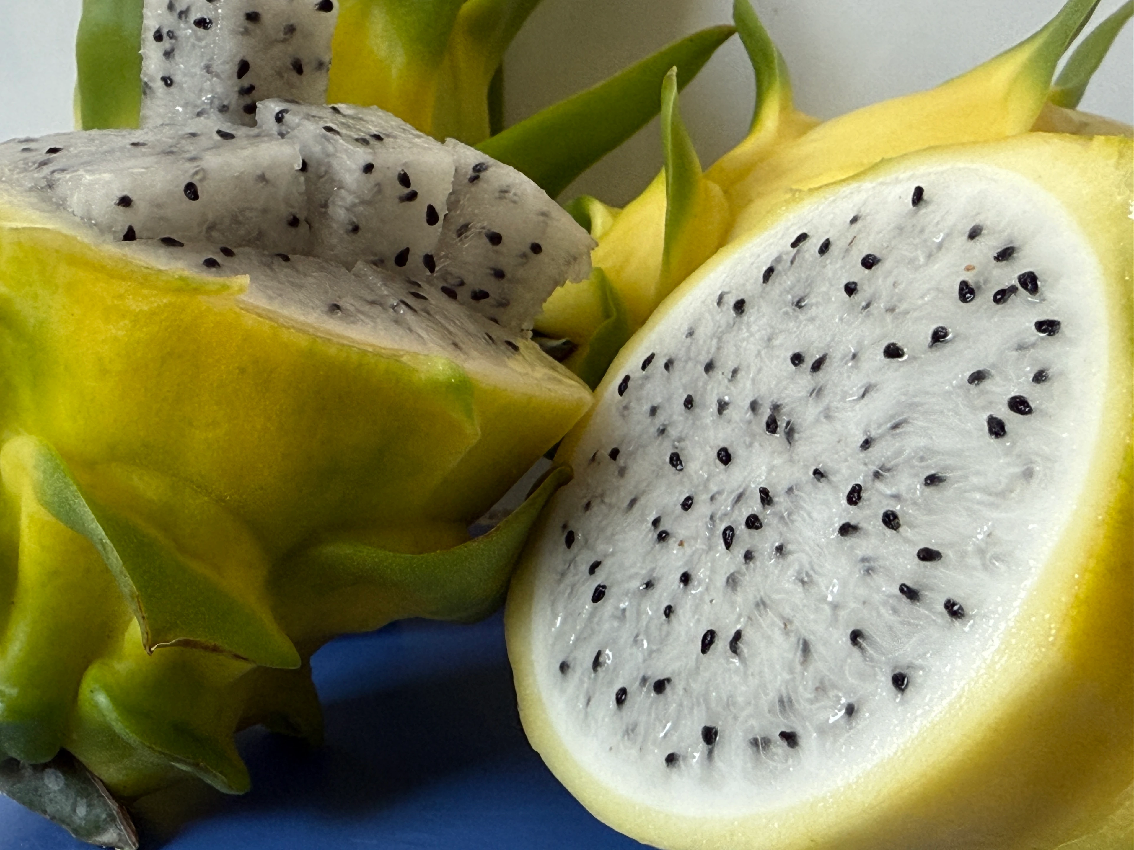 Sarı Ejder Meyvesi (Pitaya) Kg