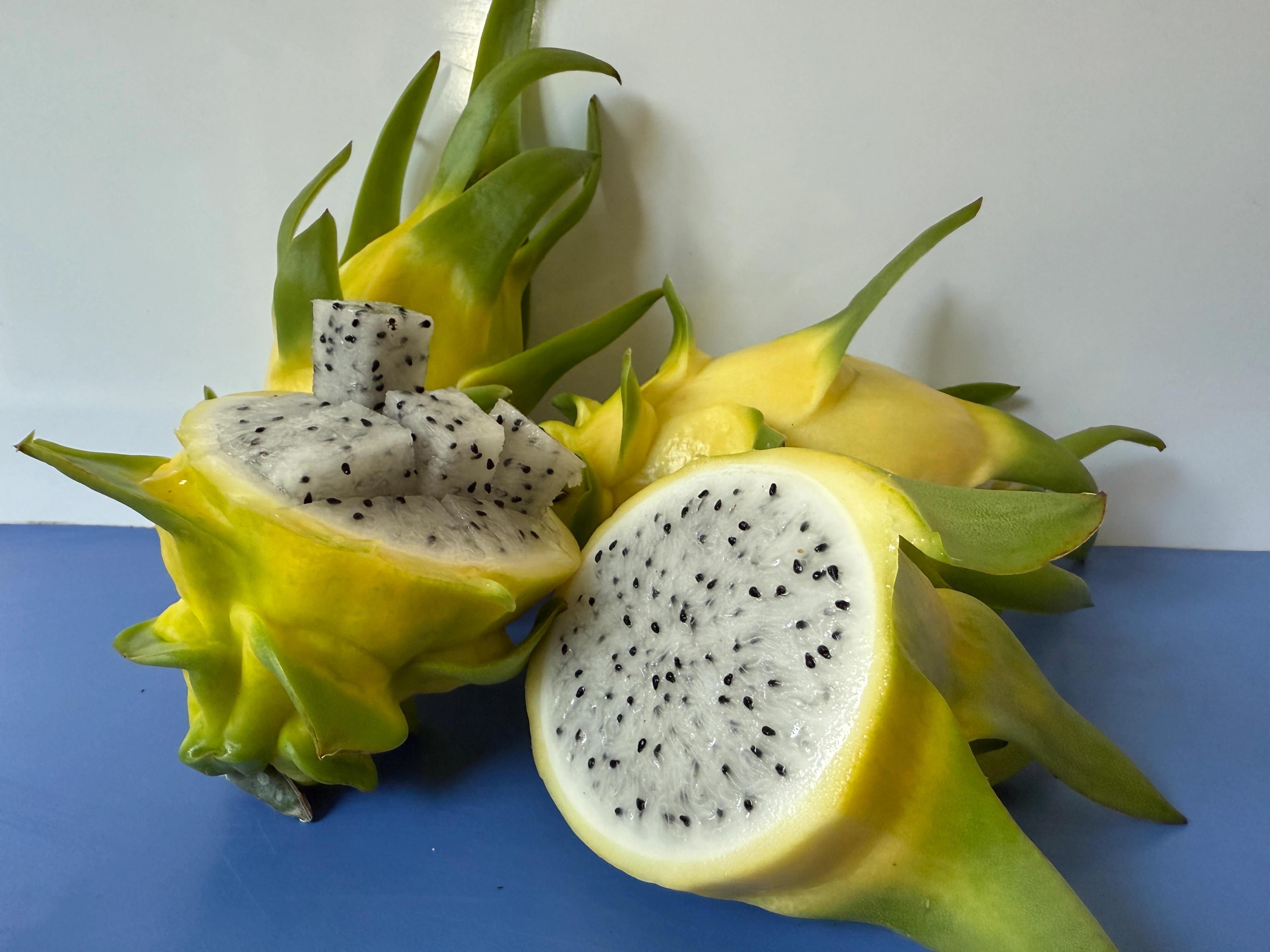 Sarı Ejder Meyvesi (Pitaya) Kg