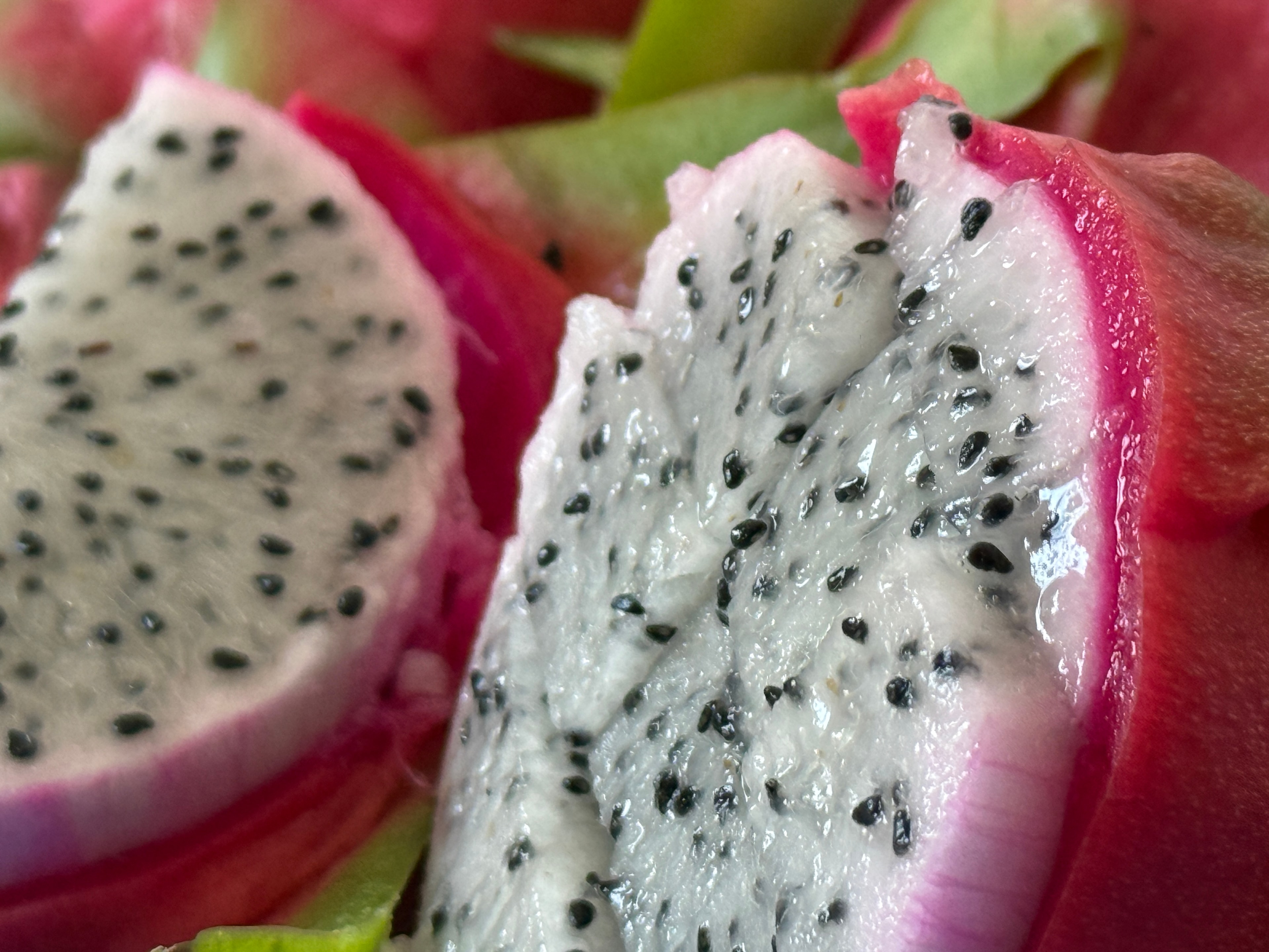 Beyaz Ejder Meyvesi (Pitaya) Kg