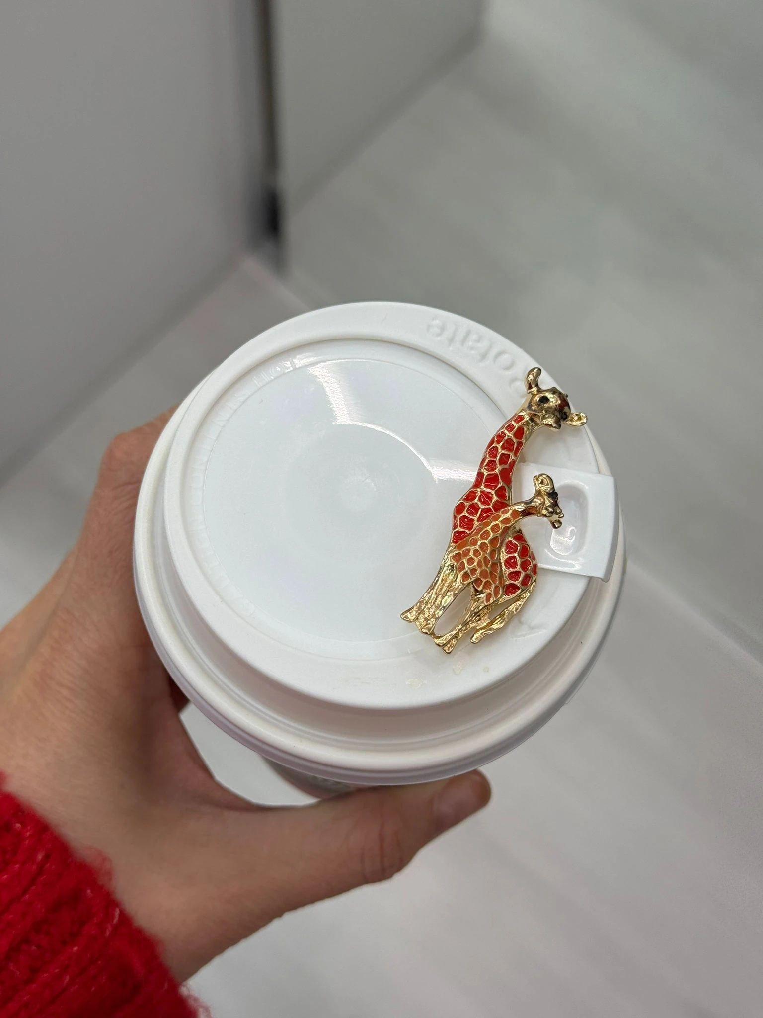 Yavrulu Zürafa Broş 