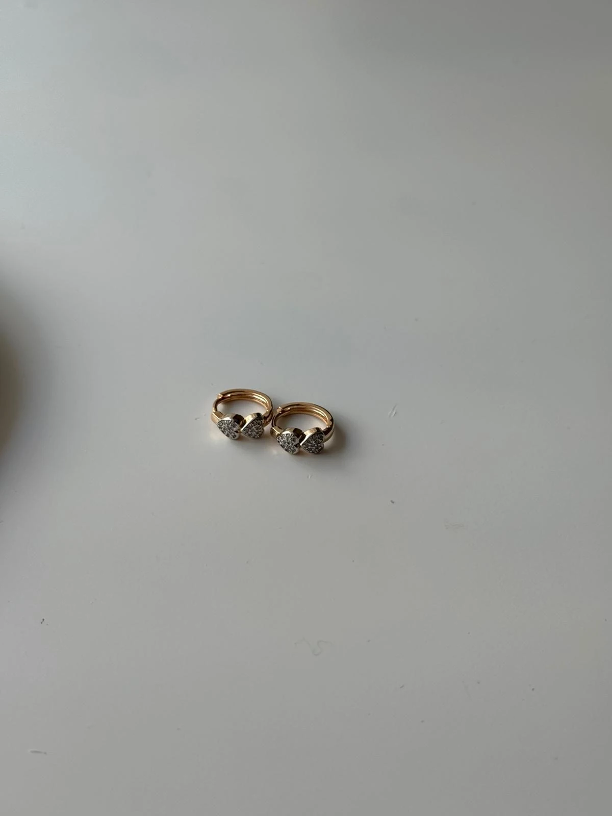 Kalpli Çelik Halka Küpe