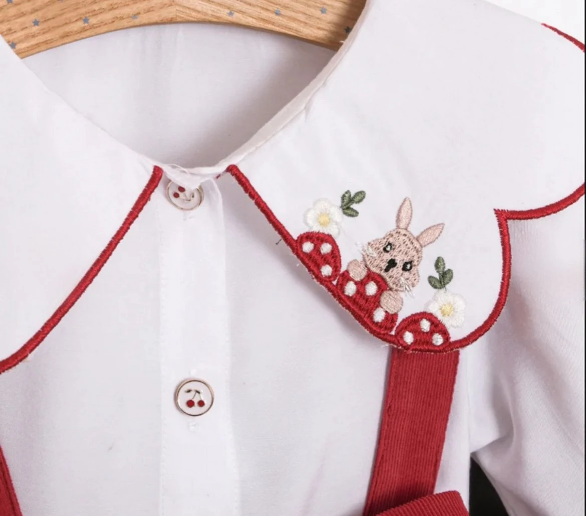 Kız Bebek Yaka Detaylı 2'li Gömlek ve Kadife Jile Elbise 