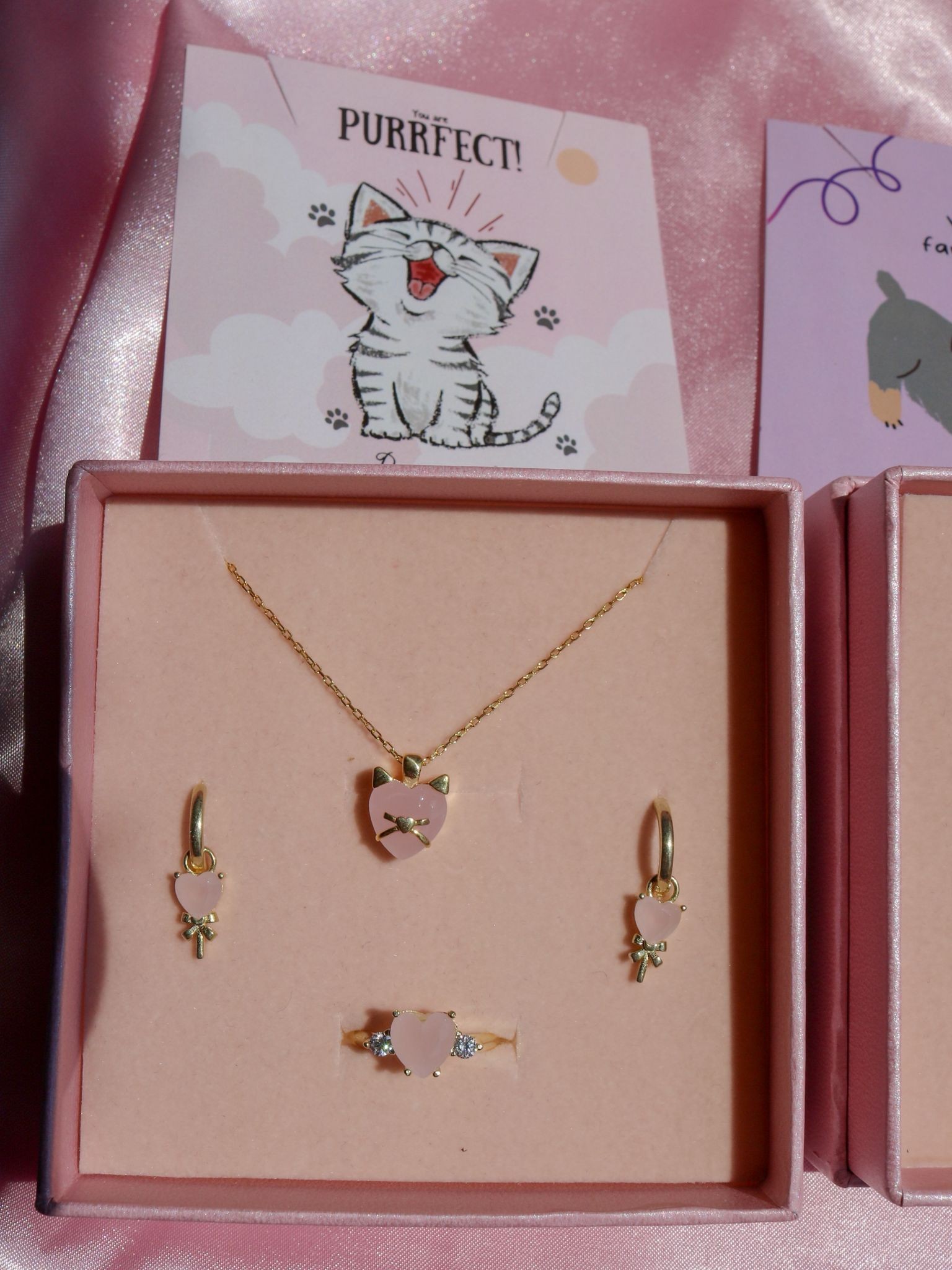 Cat ve Dog Lover 925 Gümüş Set