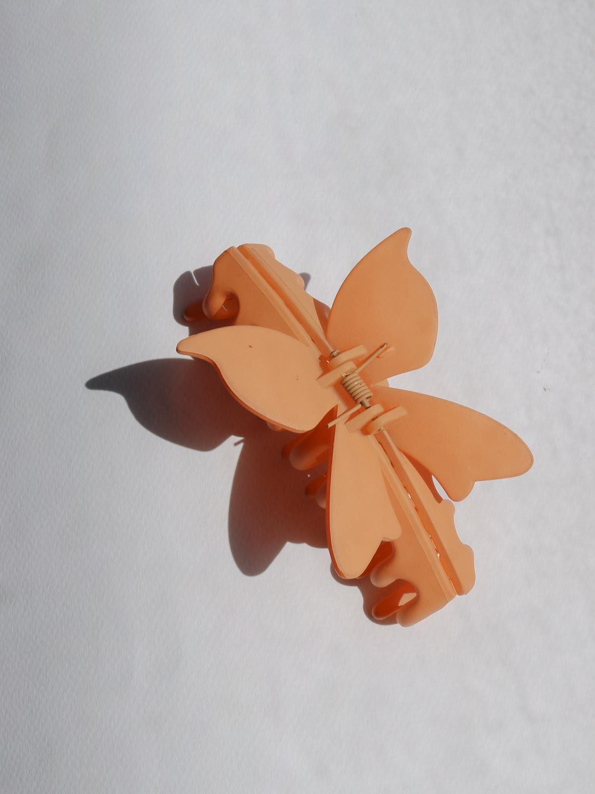 Butterfly Buckle