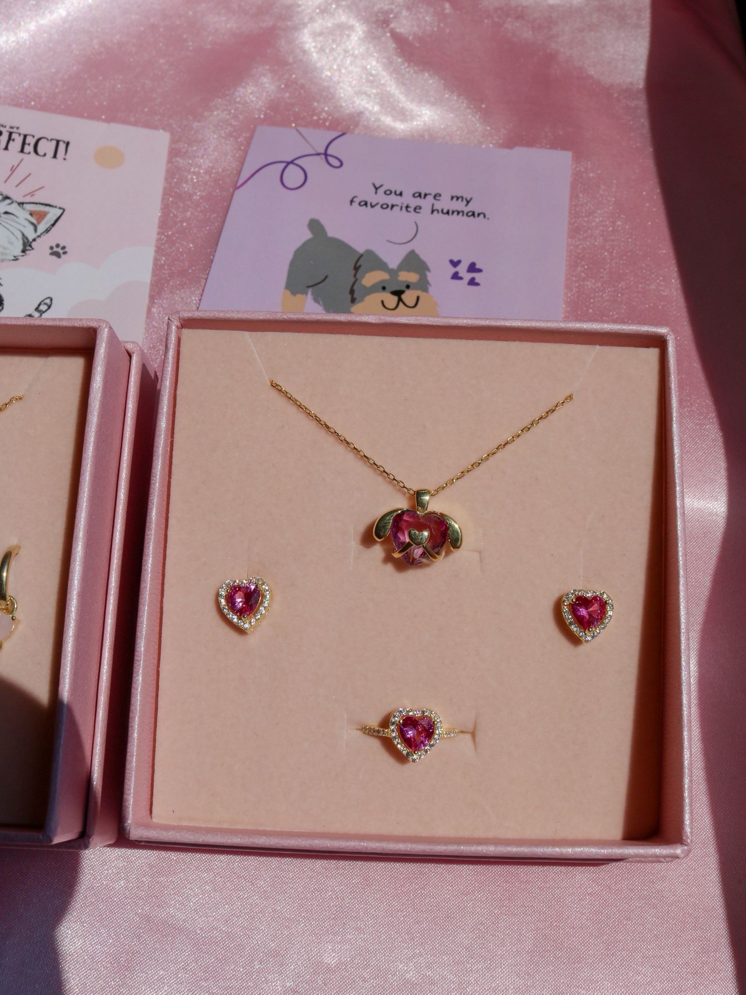 Cat ve Dog Lover 925 Gümüş Set