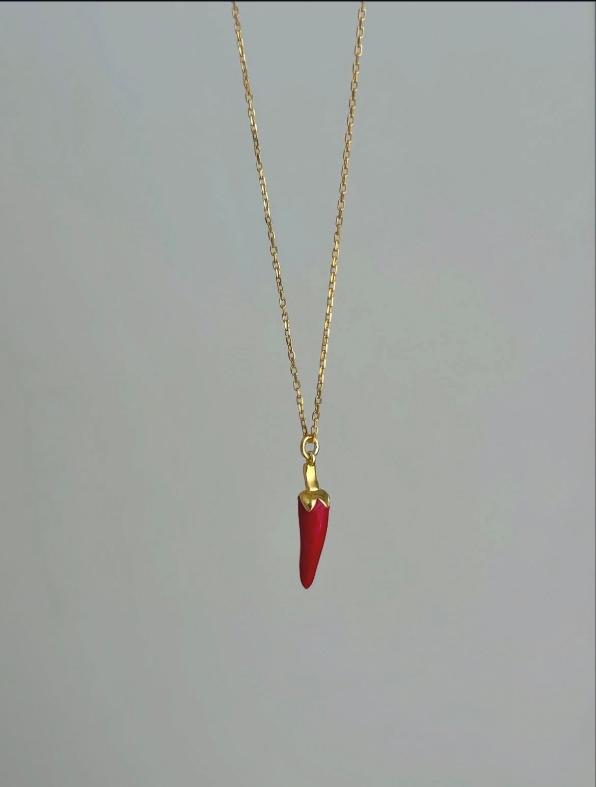 Italian Horn 925 Gümüş Kolye