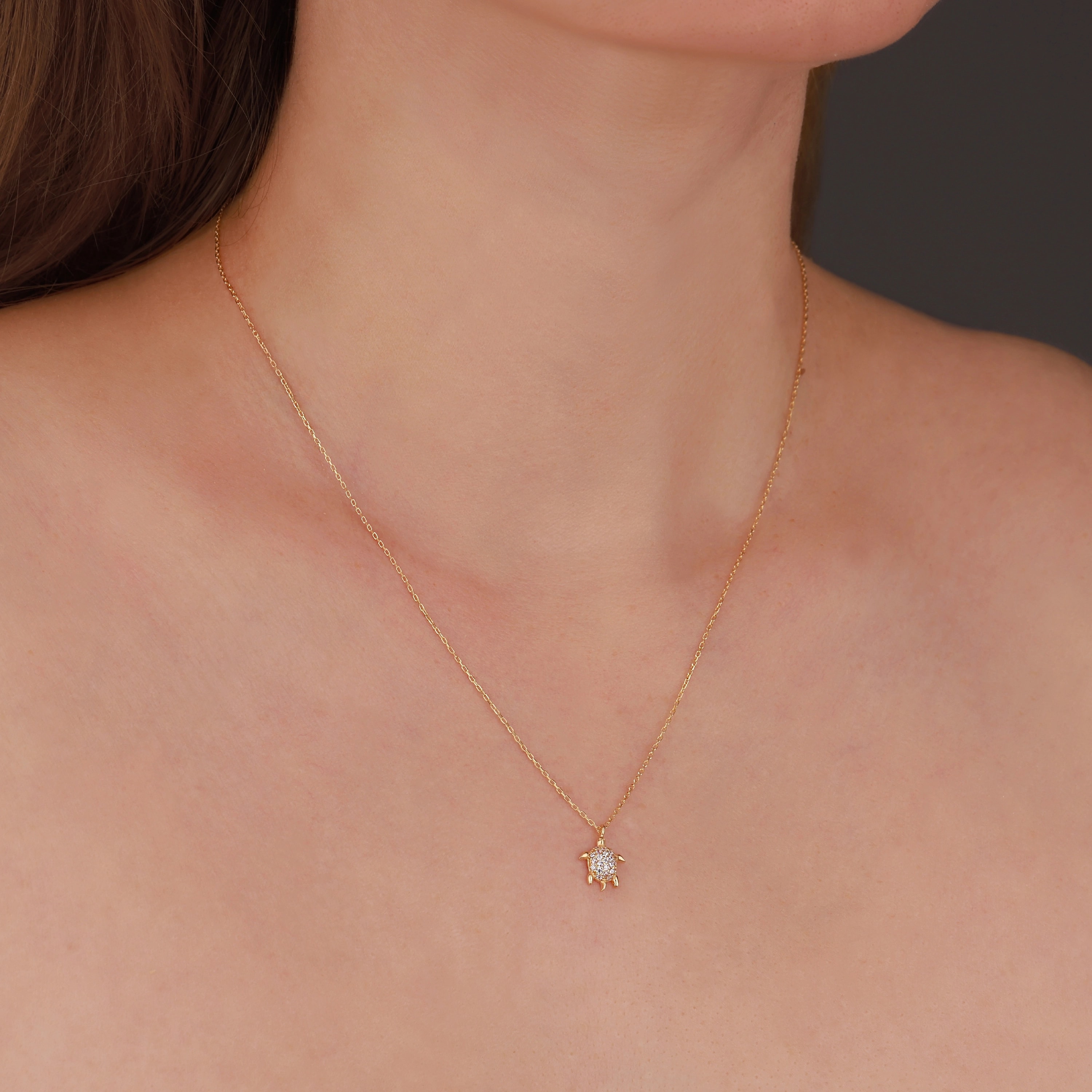 C-MG TURTLE WITH STONE