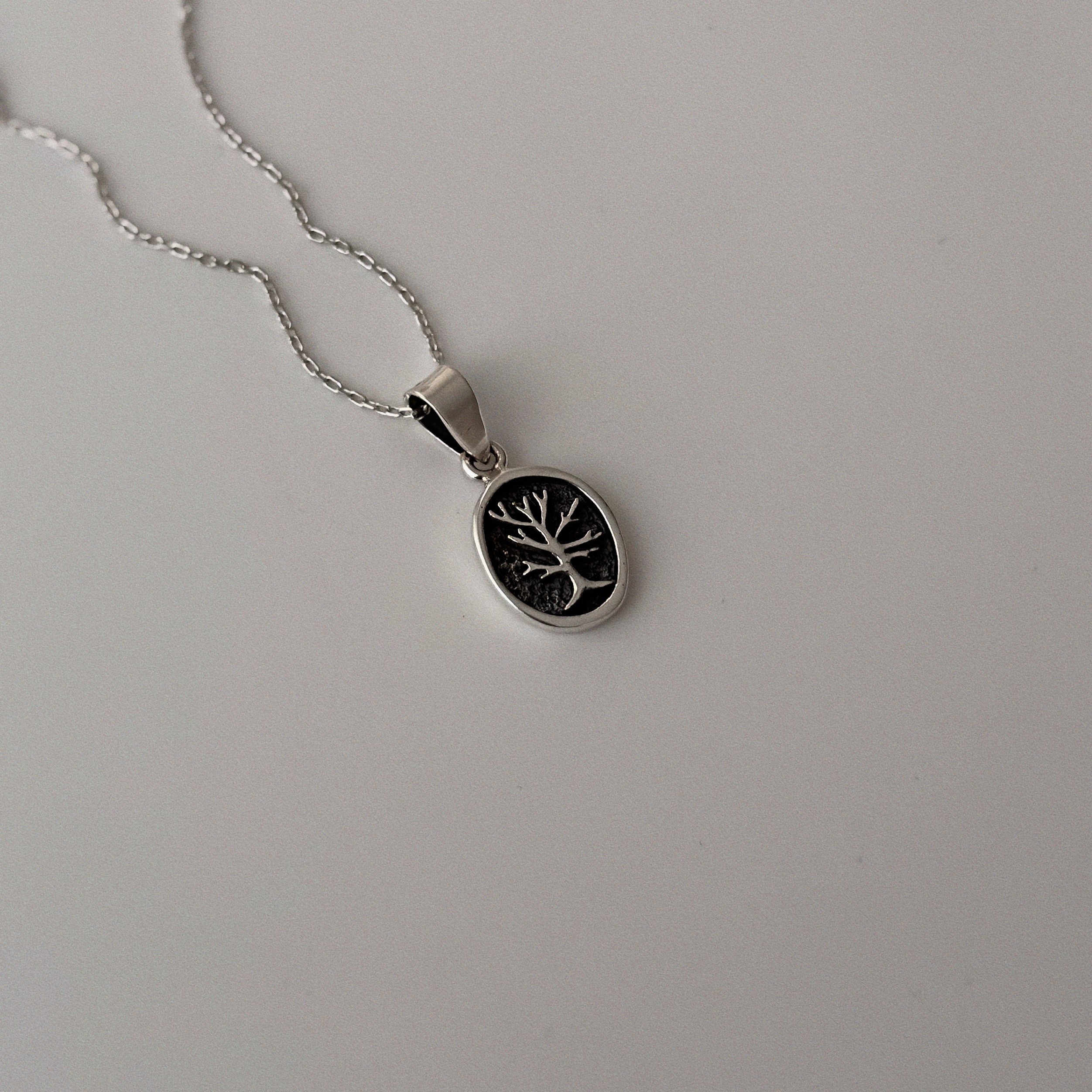 925 Gümüş - Unisex Terra Kolye
