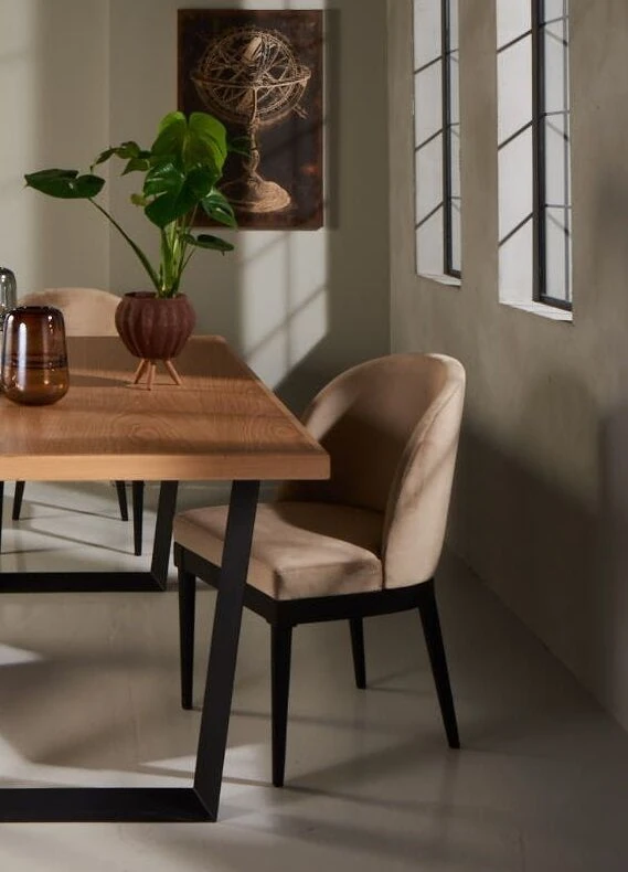 Oslo Dining Chair