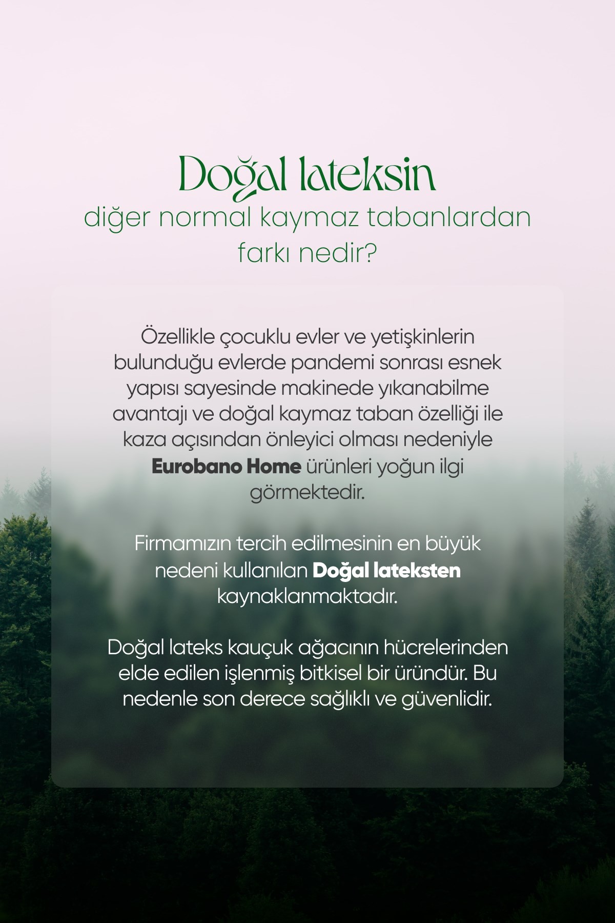 Doğal Kaymaz Tabanlı Yıkanabilir  Sheepline Beyaz Yolluk
