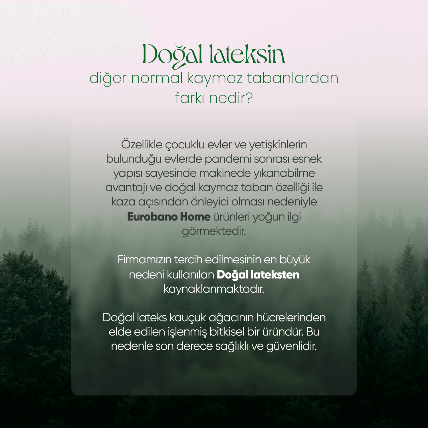 Sadiva Doğal Kaymaz Taban Yolluk