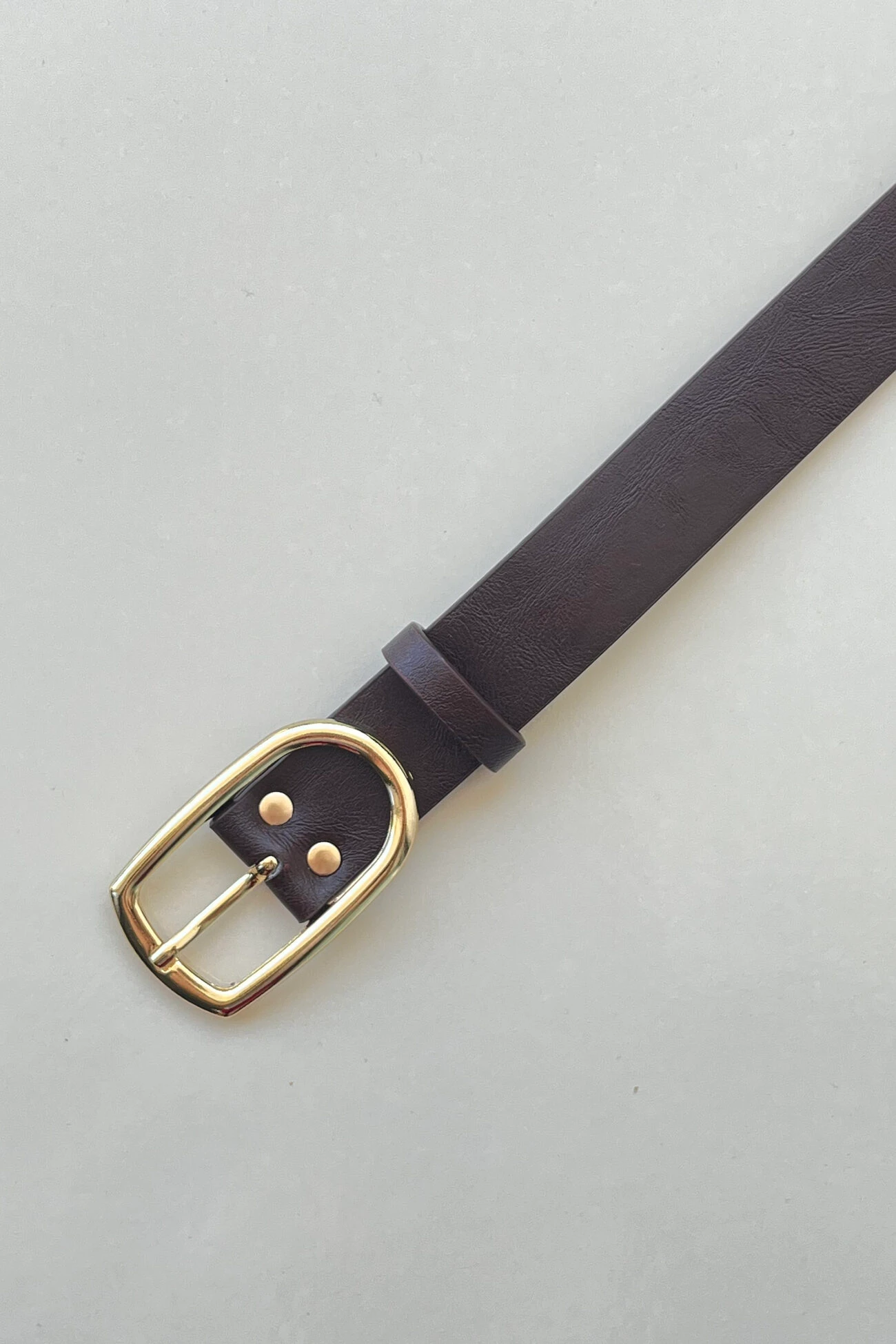 Gino Gold Tokalı Kadın Acı Kahve Kemer