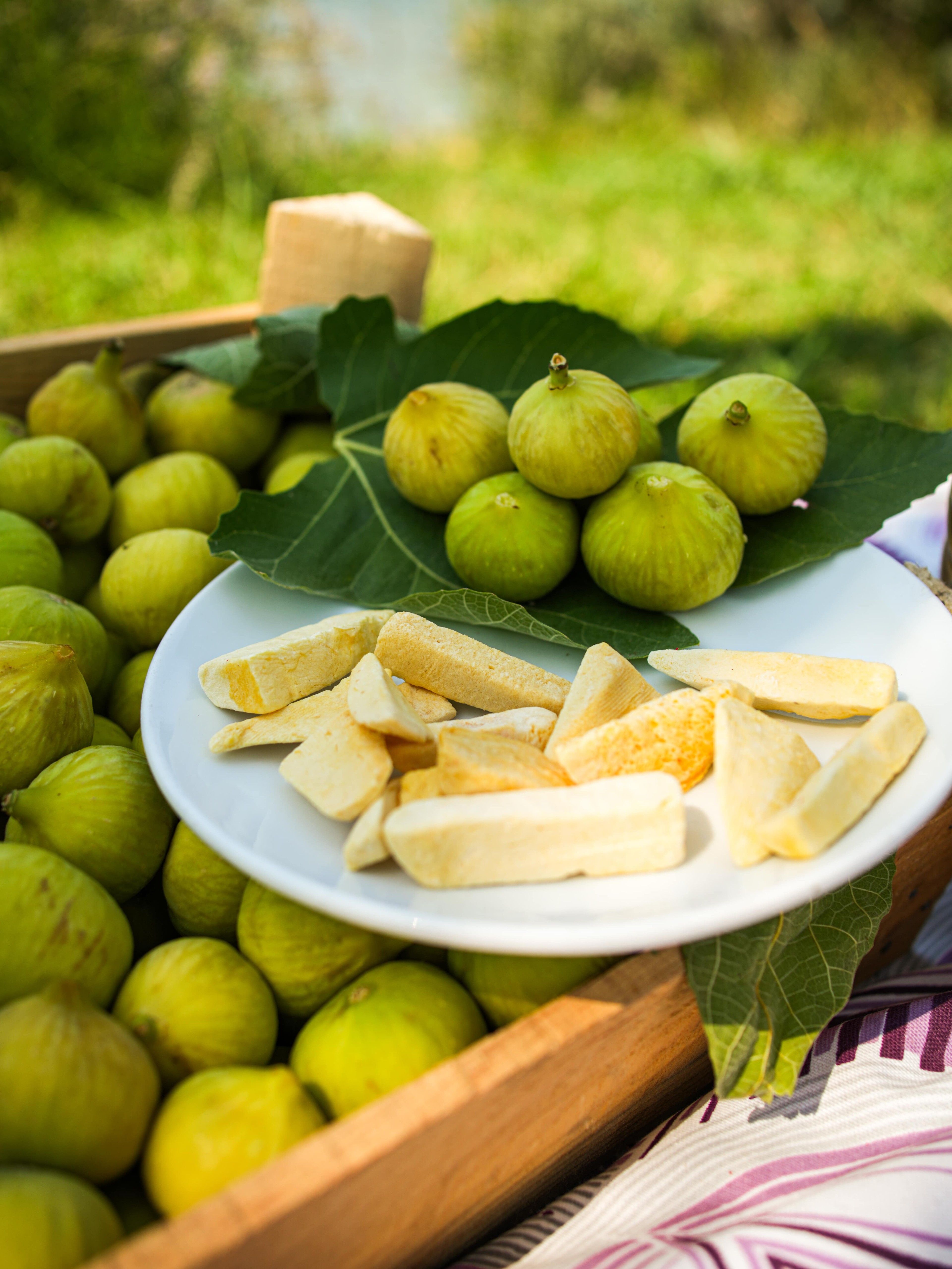 Freeze Dried Mango Cipsi 