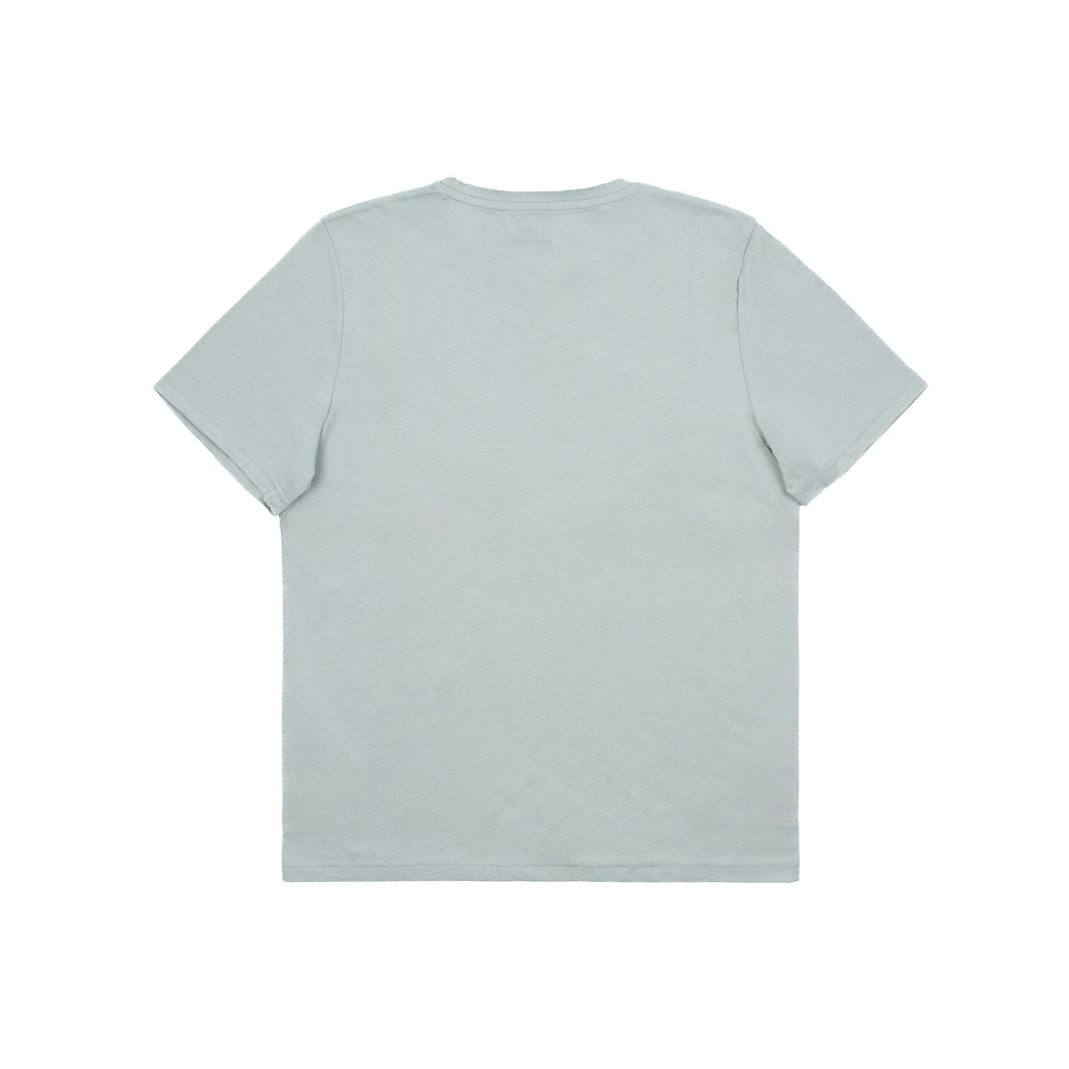 MUGO Pis Yaka Regular Fit Basic T-shirt - Mint