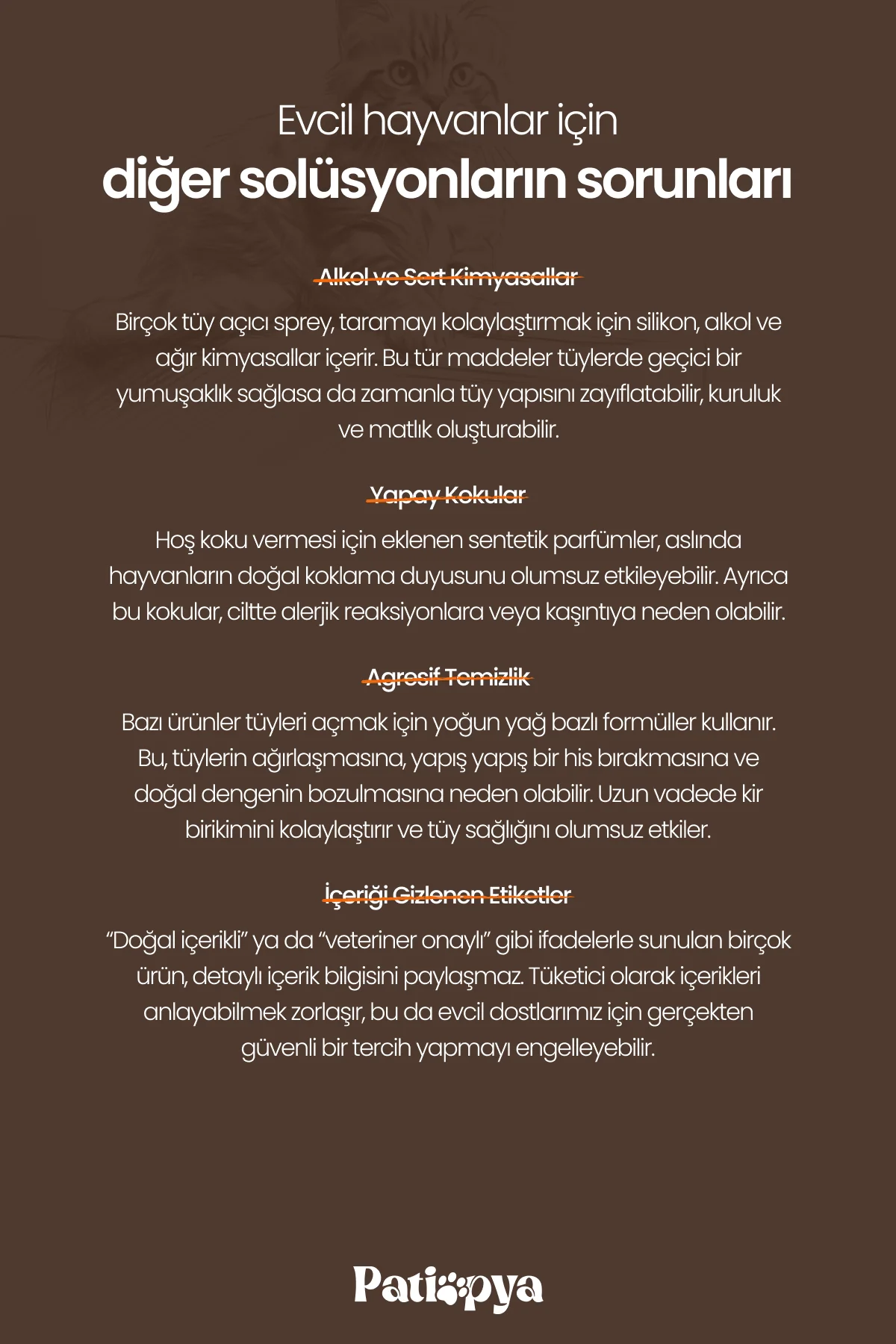 Tüy Kıtık Açıcı Sprey Hindistan Cevizi Özlü 120ml