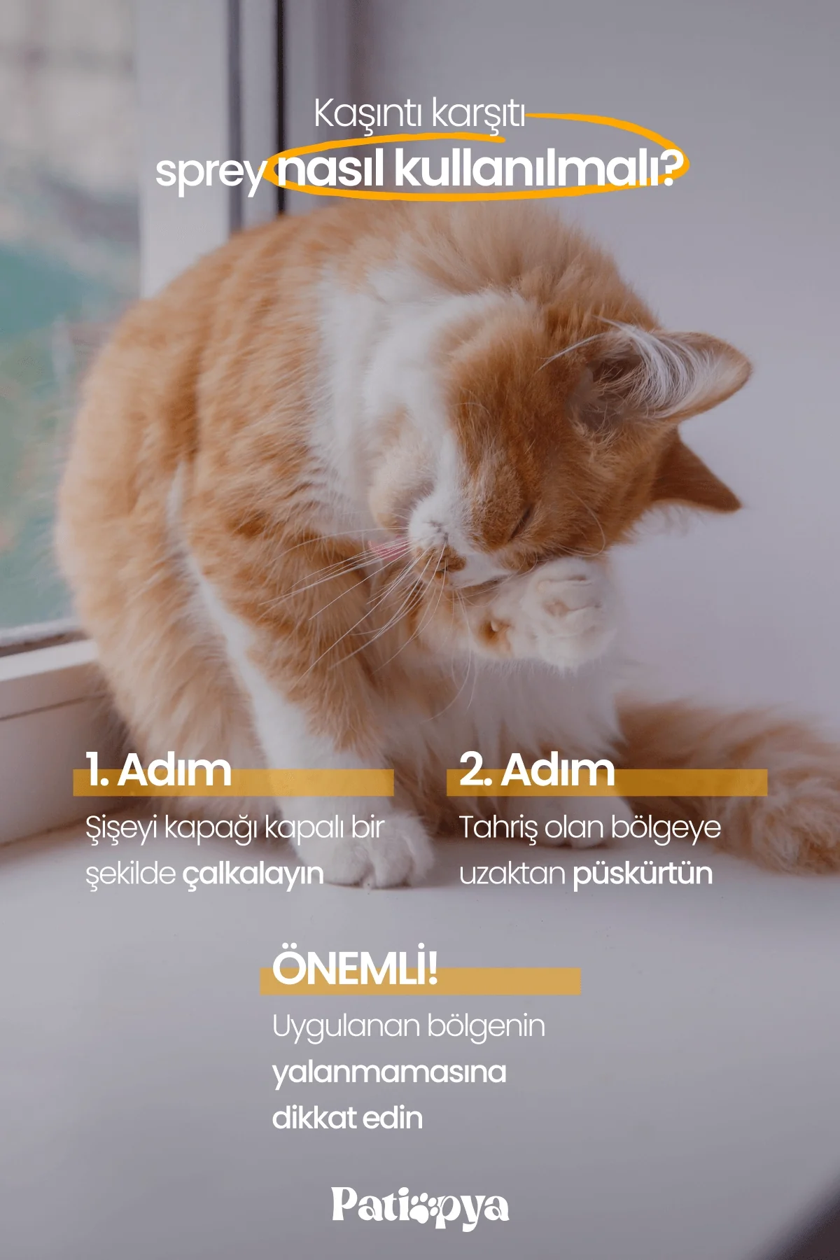 Kaşıntı Karşıtı Sprey Aynısefa Özlü