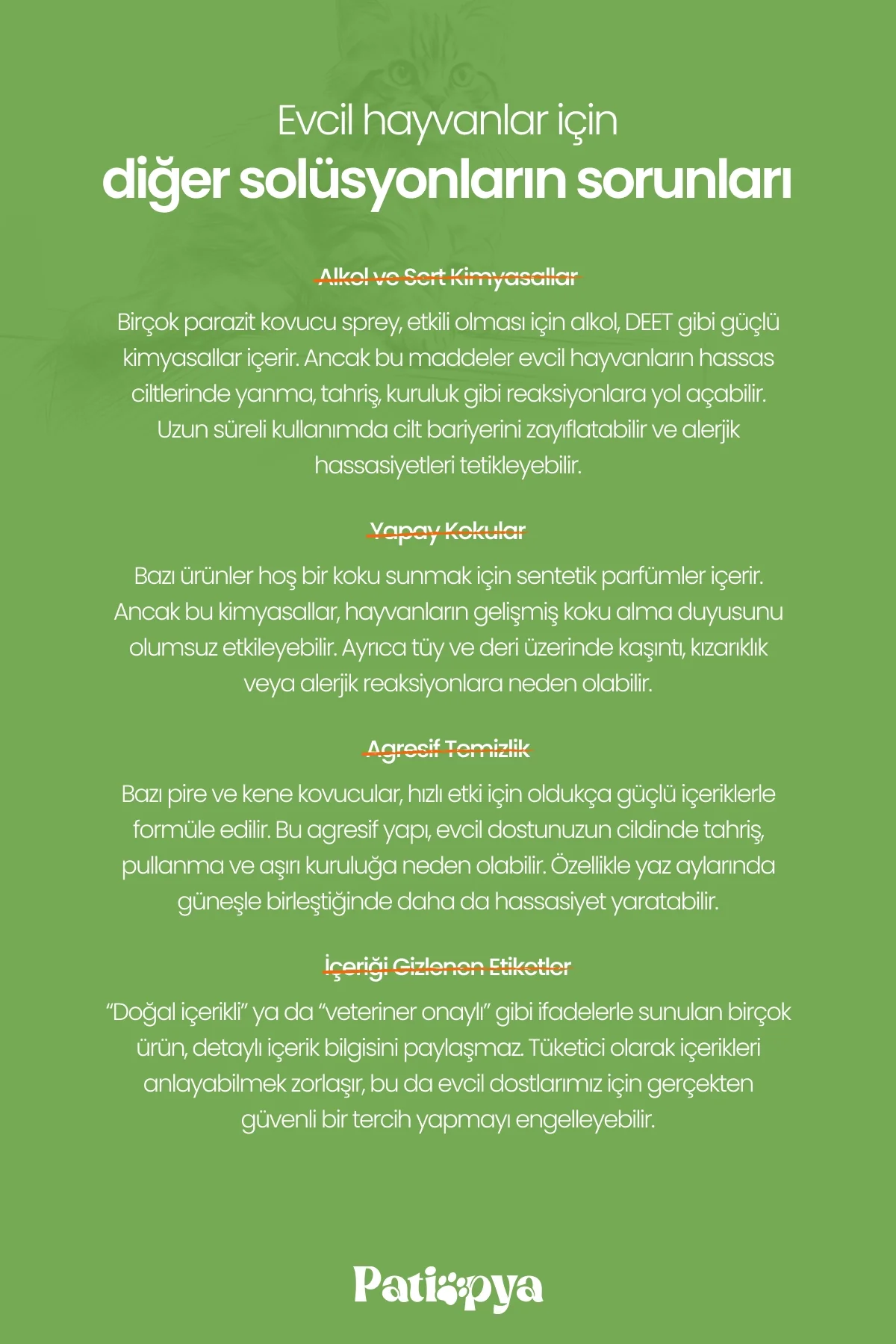 Pire Kene Kovucu Sprey 120ml