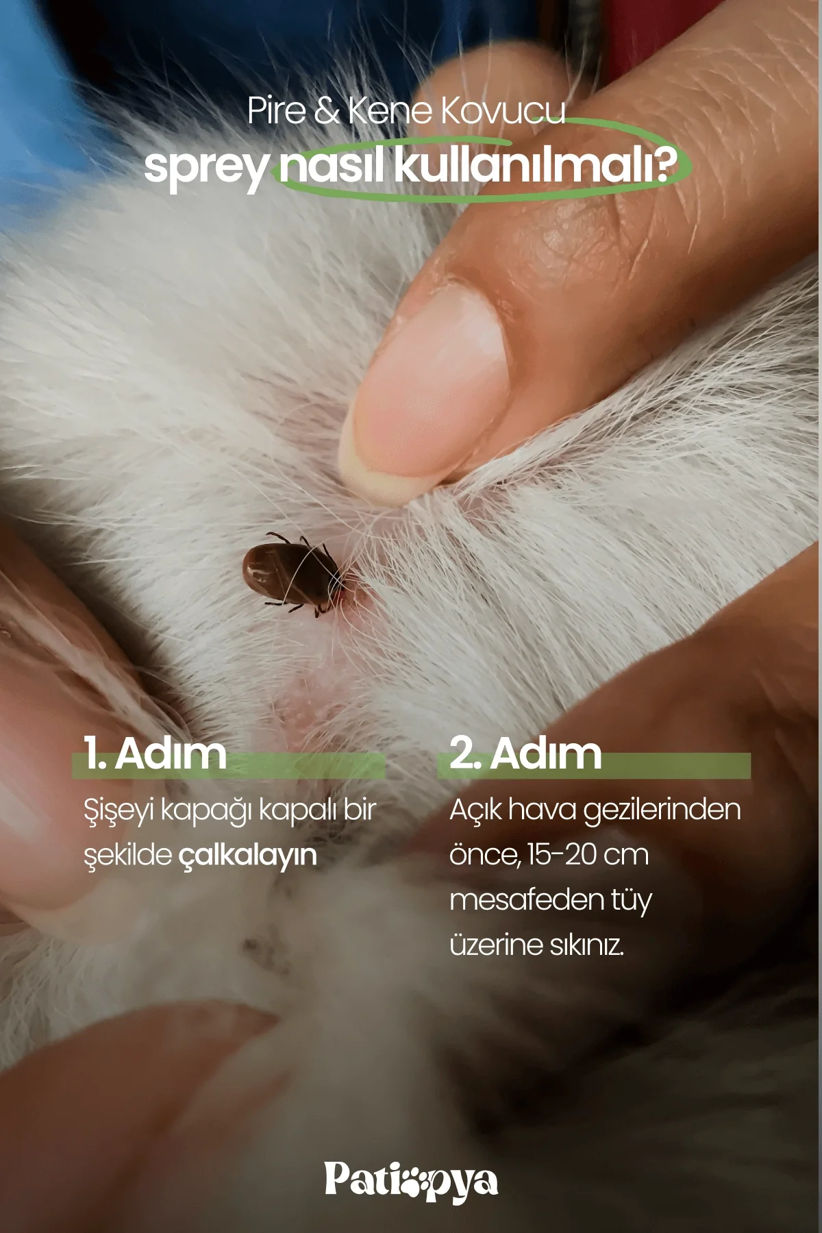 Pire Kene Kovucu Sprey 120ml