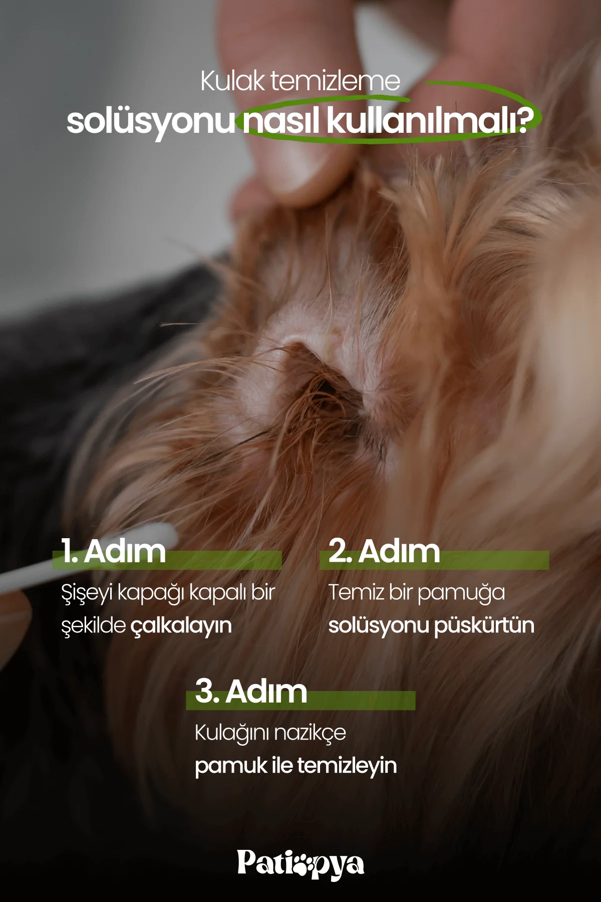 Kedi ve Köpekler İçin Kulak Temizleme Solüsyonu Aloe Vera Özlü 120ml