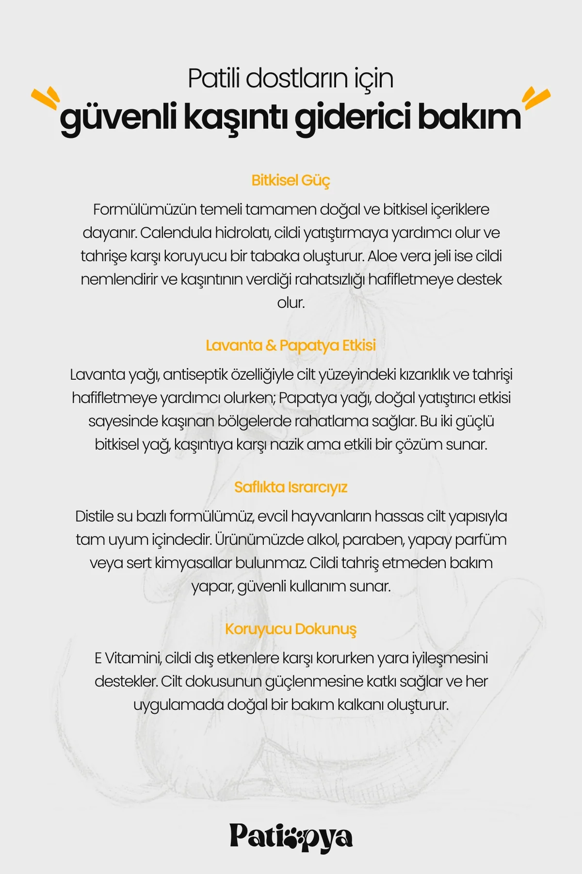 Kaşıntı Karşıtı Sprey Aynısefa Özlü