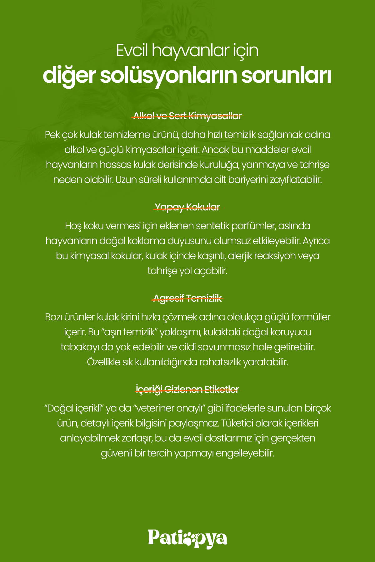 Kedi ve Köpekler İçin Kulak Temizleme Solüsyonu Aloe Vera Özlü 120ml