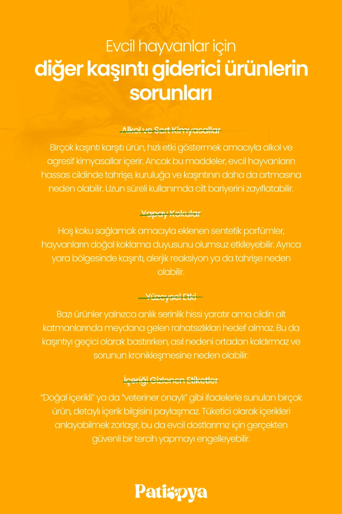 Kaşıntı Karşıtı Sprey Aynısefa Özlü