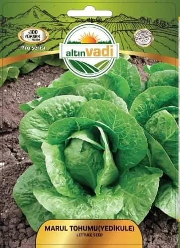 Maruページ Altınvadi Yedikule Marul Tohumu 10 Gr | Yüksek Verimli