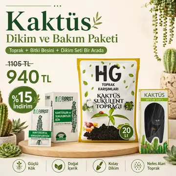 Kaktüs ve Sukulent 3’lü Dikim ve Bakım Seti