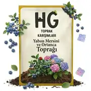Yaban